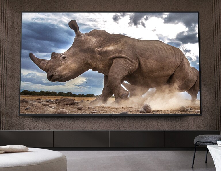 Auf einem Ultra Big LG-Fernseher, der an der braunen Wand eines Wohnzimmers montiert ist, umgeben von cremefarbenen modularen Möbeln, wird ein Nashorn in einer Safari-Umgebung gezeigt.