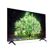 LG 48“ LG OLED TV | OLED48A19LA, OLED48A19LA