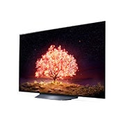 LG 55" LG 4K OLED TV B1 | OLED55B19LA, OLED55B19LA