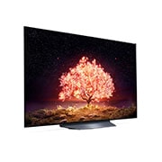 LG 55" LG 4K OLED TV B1 | OLED55B19LA, OLED55B19LA