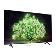 LG 65“ LG OLED TV | OLED65A19LA, OLED65A19LA