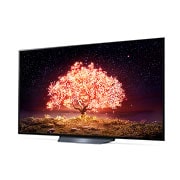 LG 65“ LG OLED TV | OLED65B19LA, OLED65B19LA