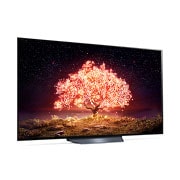 LG 65“ LG OLED TV | OLED65B19LA, OLED65B19LA