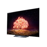 LG 77“ LG OLED TV | OLED77B19LA, OLED77B19LA