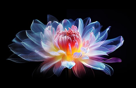 An angled image revealing LG QNED's display and the backlight. 