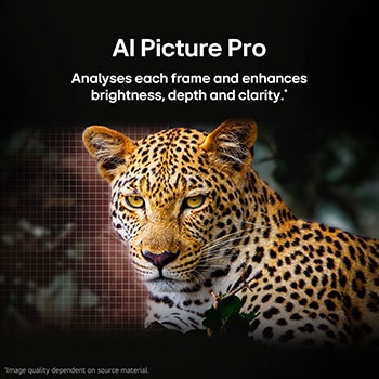 AI Picture Pro