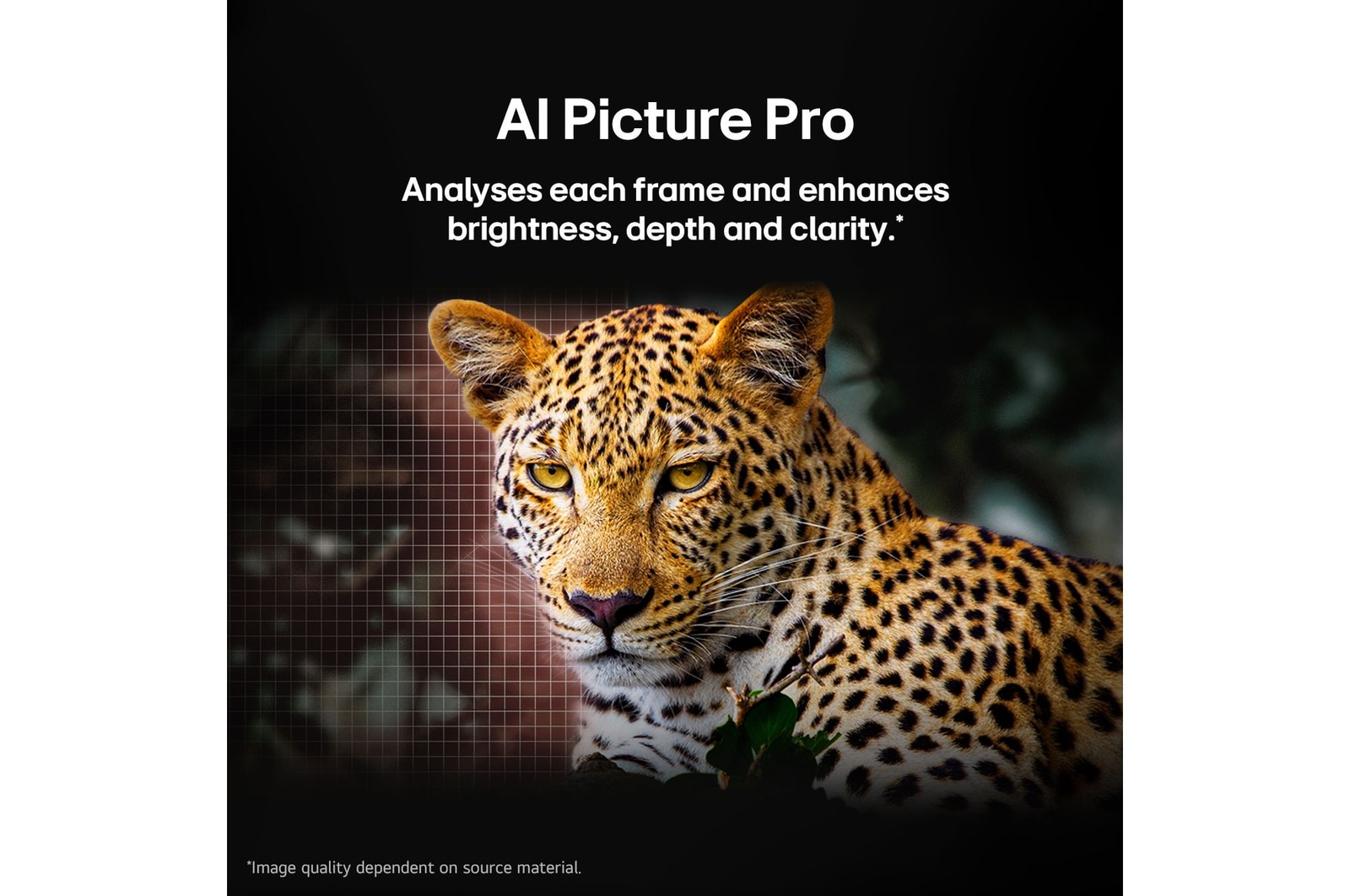 AI Picture Pro