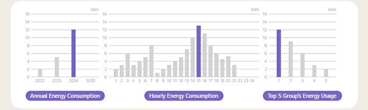 Annual Energy Consumption, Hourly Energy Consumption, Top 5 Group’s Energy Usage