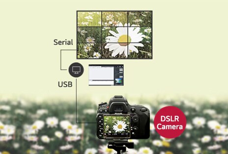 Camera Calibration