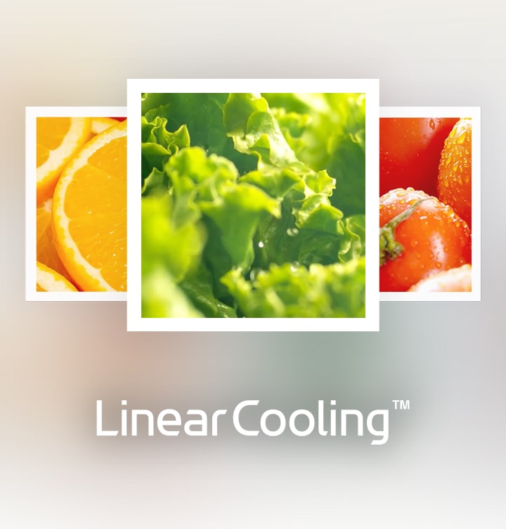 lg bottom freezer refrigerator linear cooling technology helps keep food fresh for longer by reducing temperature fluctuations.	