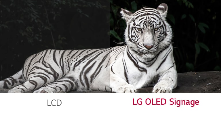 LG OLED Signage shows better contrast between black and white than ordinary LCD.
