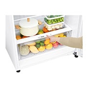 LG 478L Top Mount Fridge in White Finish, GT-515WDC