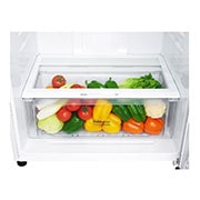 LG 478L Top Mount Fridge in White Finish, GT-515WDC