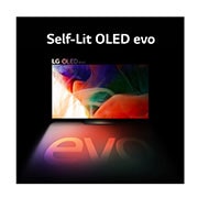 LG OLED evo LX1 Posé 55 inch 4K Smart TV Lifestyle TV , 55LX1QPSA