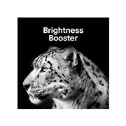 Brightness Booster