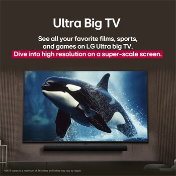 LG TV com uma tela incrivelmente grande montada em uma parede acima de uma LG Soundbar em uma sala de estar de estilo moderno.