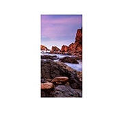 vista frontal com tela interna, 500 x 1000