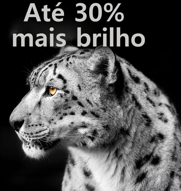 Um leopardo branco do lado esquerdo da imagem com "Até 30% mais brilho" mostra a funcionalidade Brightness Booster da LG em ação.