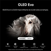 LG Smart TV LG Evo 65'' 4K 120Hz G-Sync FreeSync Inteligência Artificial ThinQ Google Alexa OLED65C2PSA, OLED65C2PSA