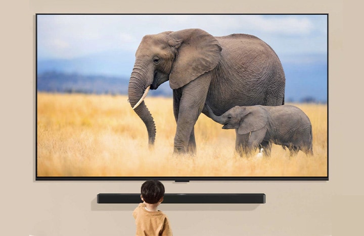 Uma criança está em pé na frente de uma grande TV que exibe uma imagem de dois elefantes, um adulto e um filhote, caminhando em um campo gramado.