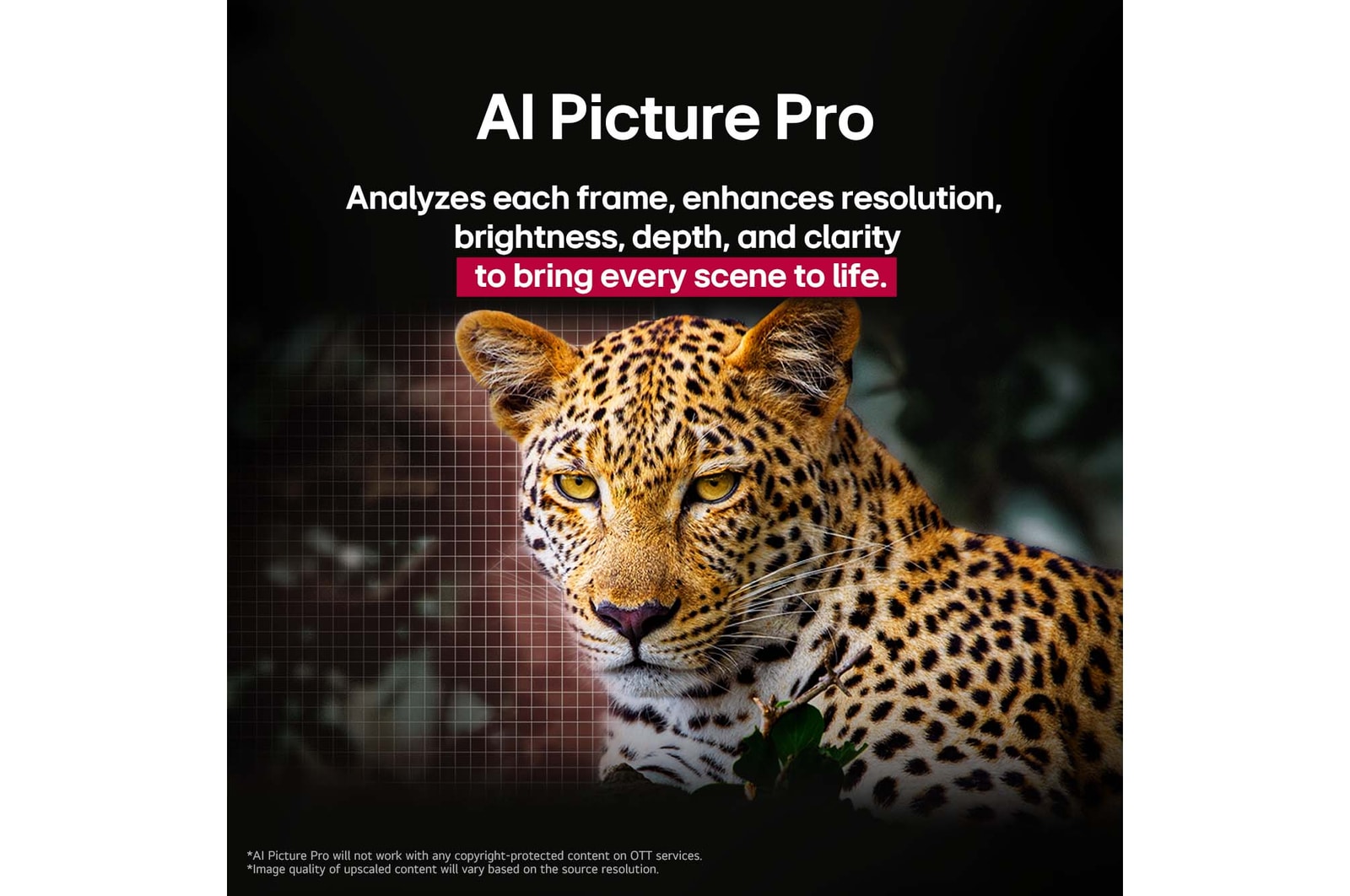 Leopard in the forest in vivid colour and detail. The leopard has a grid and a light glowing behind it, indicating how LG AI Picture Pro made impressive visual enhancements to the scene's resolution, brightness, depth, and clarity.