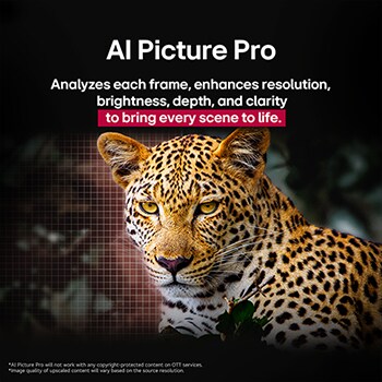 Leopard in the forest in vivid colour and detail. The leopard has a grid and a light glowing behind it, indicating how LG AI Picture Pro made impressive visual enhancements to the scene's resolution, brightness, depth, and clarity.