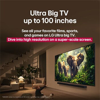 A girl and a dog are seated in front of a LG QNED TV mounted on a wall depicting three elephants walking outwards above a LG Soundbar. The title talks about how every action is more thrilling on a massive screen.