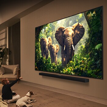 A girl and a dog are seated in front of a LG QNED TV mounted on a wall depicting three elephants walking outwards above a LG Soundbar. The title talks about how every action is more thrilling on a massive screen.