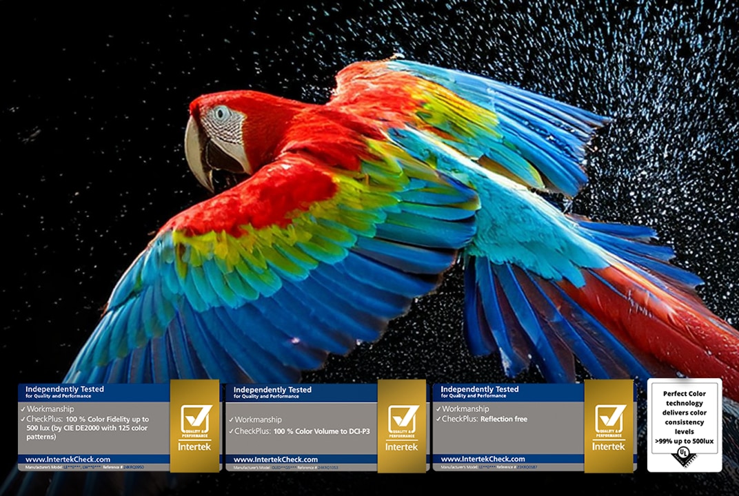 A parrot with vivid red, blue, green, and yellow feathers spreads its wings against a backdrop of splashing water. Certification marks from Intertek at the bottom highlight verified picture quality and colour reproduction.