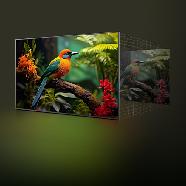 Before and after comparison shows how LG 4K Super Upscaling improves image quality. Two panels display the same image of a colourful bird sitting on a branch in a forest — the panel on the right appears faded.