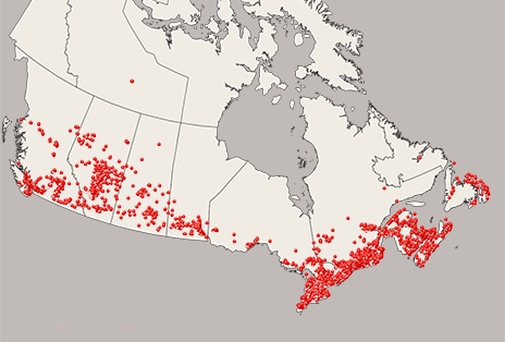 Map of Canada with numerous red dots showing LG service locations across the country, highlighting the wide coverage of LG’s national appliance service network.