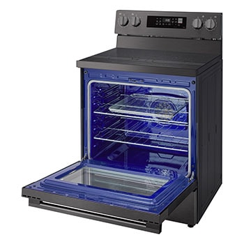 Left perspective view