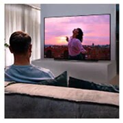 LG 48" CX LG OLED TV with ThinQ® AI, OLED48CXPUB