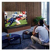 LG 48" CX LG OLED TV with ThinQ® AI, OLED48CXPUB