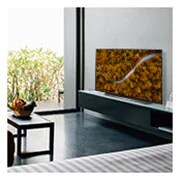 LG 48" CX LG OLED TV with ThinQ® AI, OLED48CXPUB