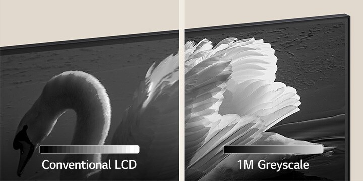 A split-screen image of a swan. On the left, the words 'Conventional LCD' and a color bar with stark increments are shown with the swan. On the right, the words '1M Greyscale' and a color bar with smooth gradation with swan, which is clear with good contrast.	