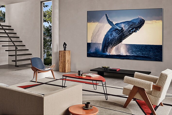Salon avec un téléviseur à fixation murale. L’écran affiche une image de haute qualité d’une baleine sautant hors de l’eau.