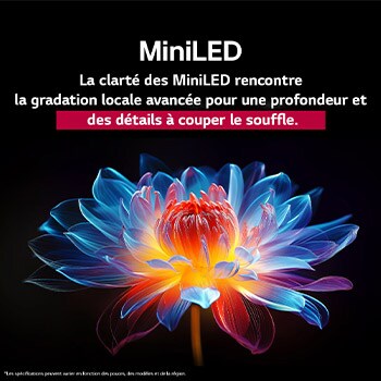 Une fleur holographique en 3D, affichant de nombreuses nuances et teintes, sur un fond noir. La définition et les détails de la fleur mettent en valeur la capacité du QNED MiniLED à produire des visuels avec des couleurs exceptionnelles, une luminosité intense et un contraste remarquable. Le titre explique comment MiniLED améliore la clarté et fournit un contraste exceptionnel.