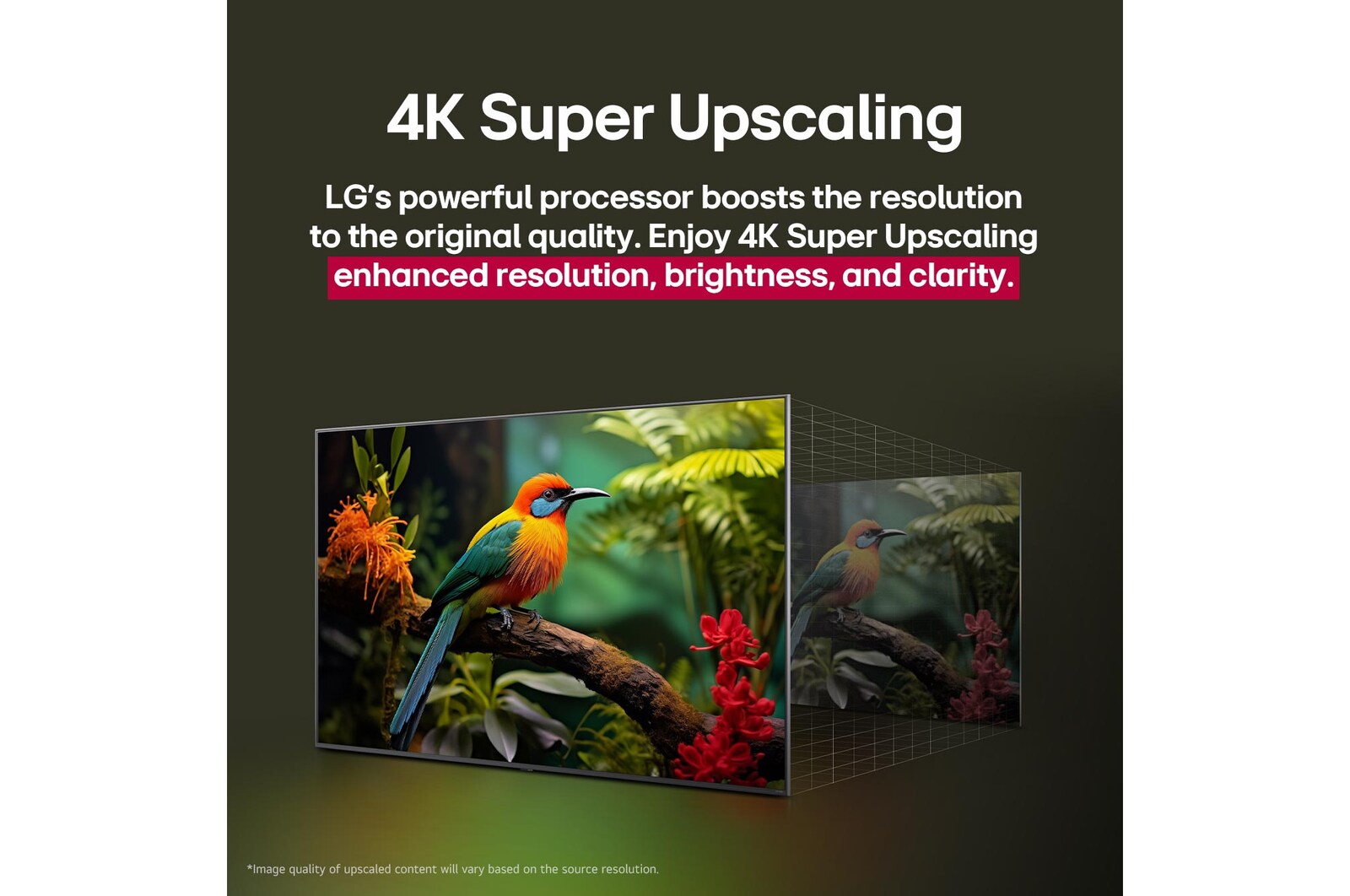 Comparaison avant/après de l’amélioration de la qualité d’image grâce au Super Upscaling 4K de LG. Deux panneaux montrant la même image d’un oiseau coloré assis sur une branche dans une forêt, le panneau de droite est estompé. Le titre explique comment le Super Upscaling 4K améliore la résolution, la luminosité et la clarté. 