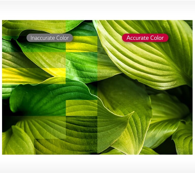 ID-LED-08-Vividness-with-Color-Accuracy_D