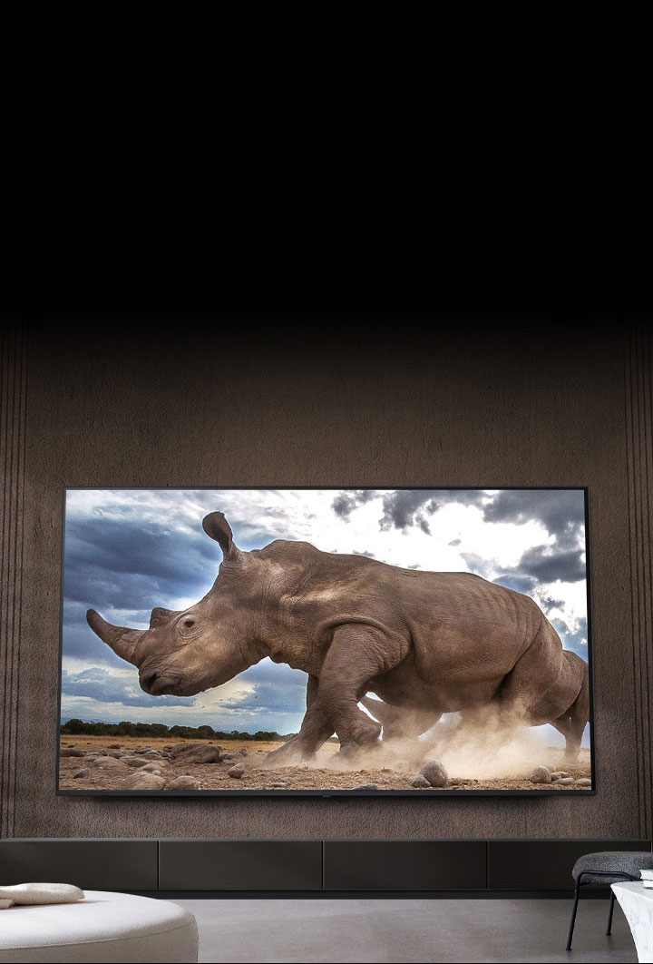 Un rhinocéros dans un safari est diffusé sur un très grand téléviseur de LG fixé sur le mur brun d’un salon entouré de meubles modulaires de couleur crème.