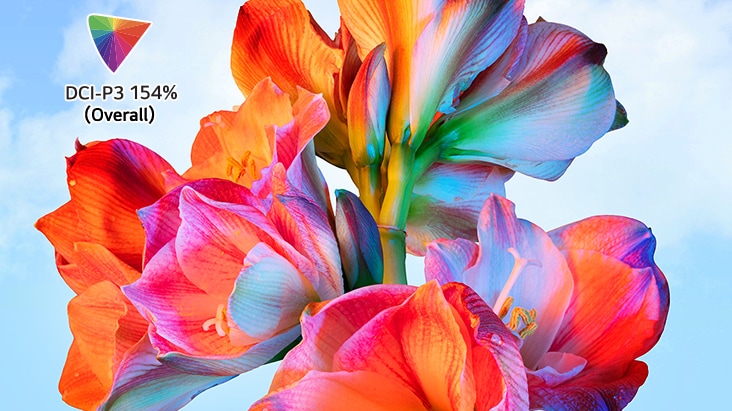 Image d’une fleur éclatante avec le logo DCI-P3 154% en haut à gauche.