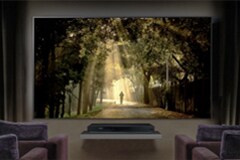 Image de la forêt sur l’écran du téléviseur