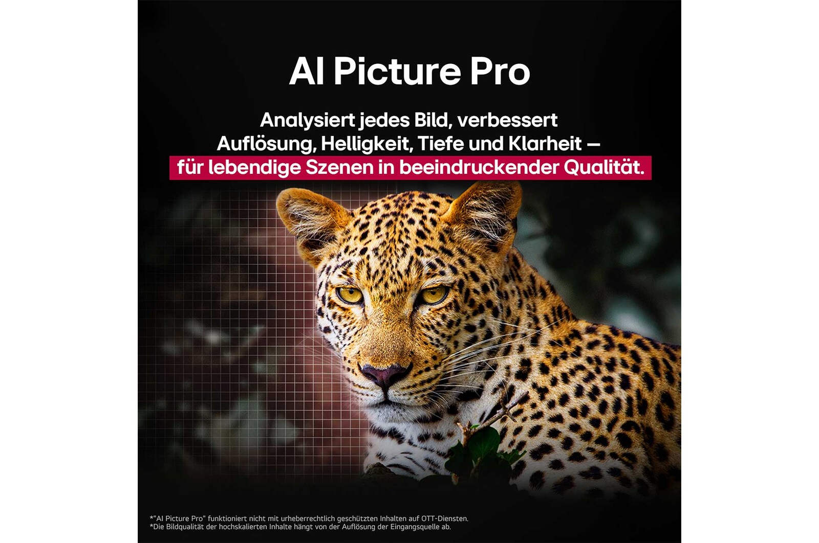 Leopard im Wald in lebendigen Farben und Details. Der Leopard hat ein Gitter und ein Licht, das dahinter leuchtet, was anzeigt, wie LG AI Picture Pro beeindruckende visuelle Verbesserungen an der Auflösung, Helligkeit, Tiefe und Klarheit der Szene vorgenommen hat.