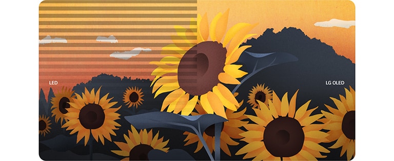 Une illustration de tournesols est divisée en deux, avec d’un côté l’image d’un téléviseur LED et de l’autre, l’image d’un téléviseur LG OLED. Les scintillements de l’écran apparaissent uniquement à l’écran du téléviseur LED.