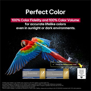 Un loro colorido en ultra alta definición sobre un fondo negro. A su alrededor hay gotas de agua suspendidas en el aire. La imagen muestra un Color Perfecto, ya que cada tono diferente del cuerpo del loro es vibrante y vívido. Se observan diferentes certificaciones de logotipos de UL e Intertek. Estos se refieren a su 100 % de fidelidad de color y 100 % de volumen de color. También se observa un texto: Verifica la marca de certificación de Color Perfecto.