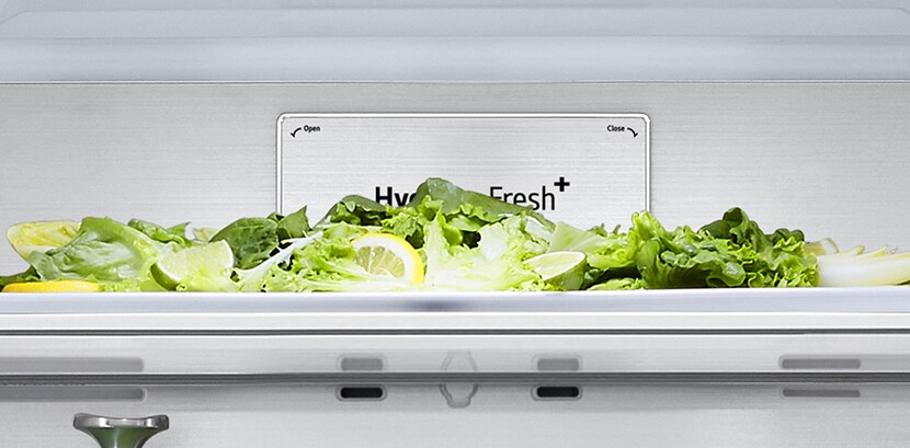 Primer plano de la etiqueta metálica de productos frescos en el interior del refrigerador.