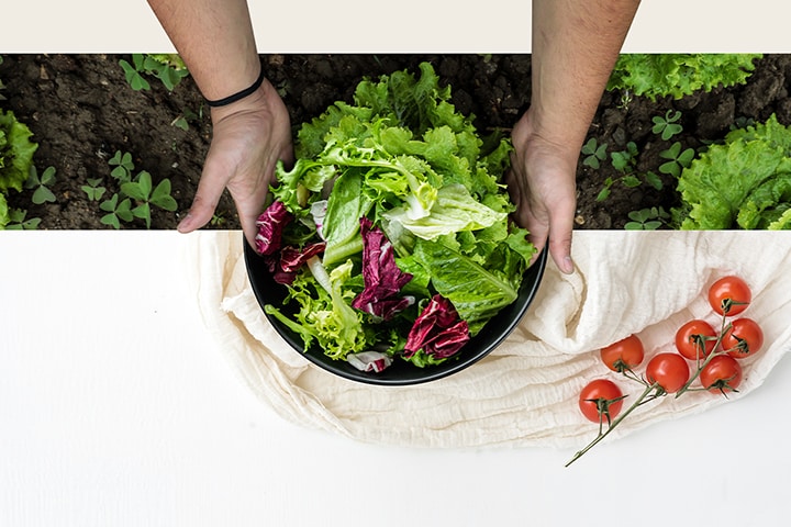 Tazón de verduras frescas como recién cosechadas con la ayuda de la tecnología de refrigeración de un refrigerador.