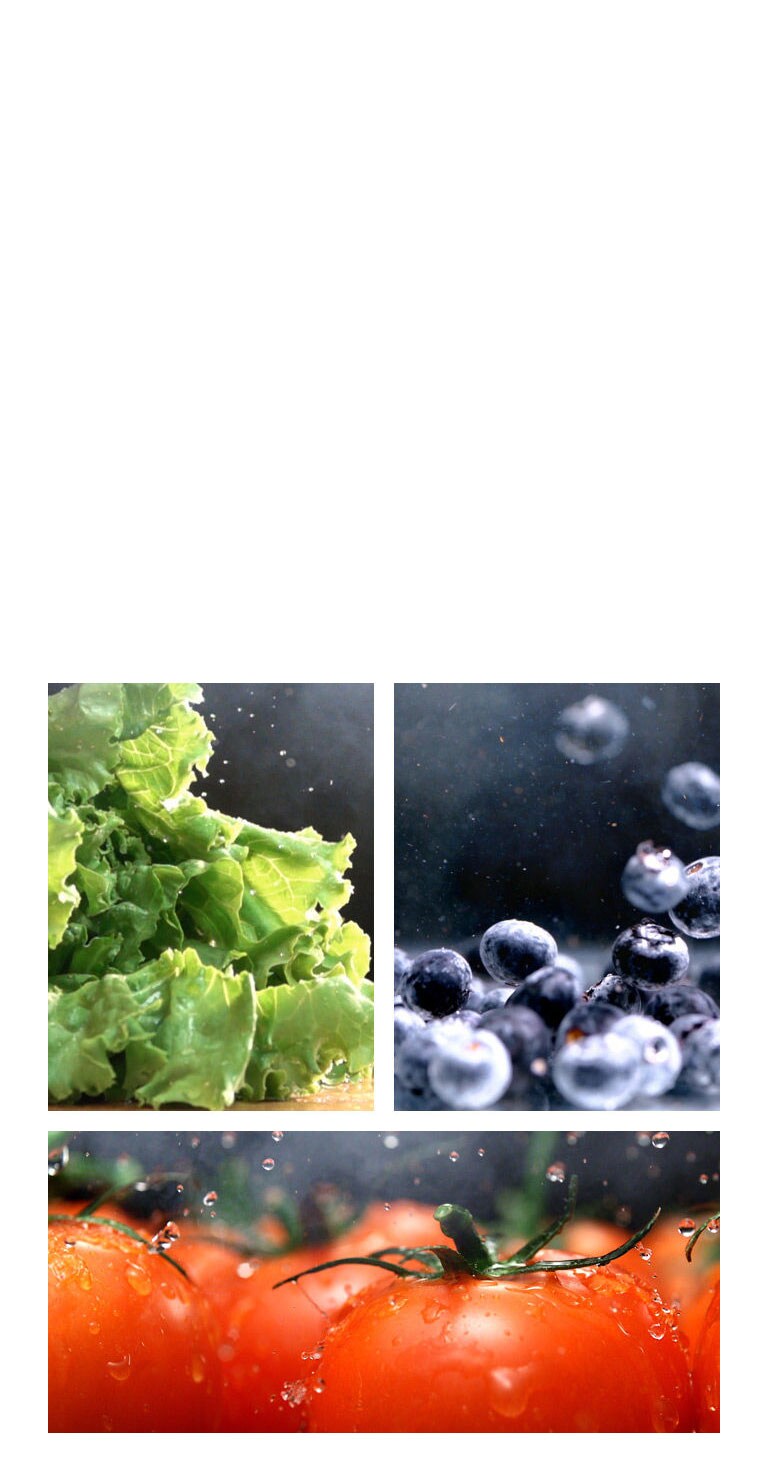 Mantén los Alimentos Frescos por más Tiempo