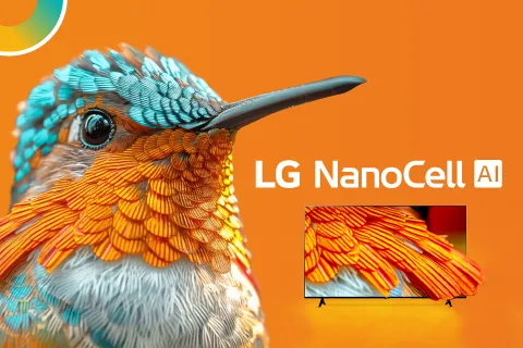 Colibri con Tv LG Nano Cell AI